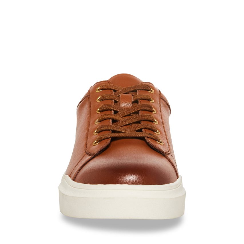 Zapatillas Steve Madden Tilton Cuero Hombre Marrones | ES NA43ES